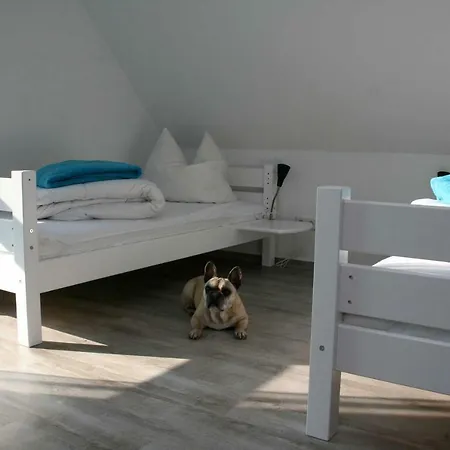 Ferienwohnung Dd Strandmoewe Og Loddin
